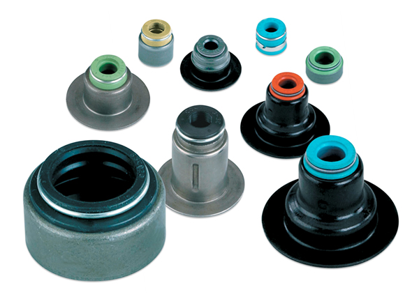 Valve Stem Seals Victor Reinz